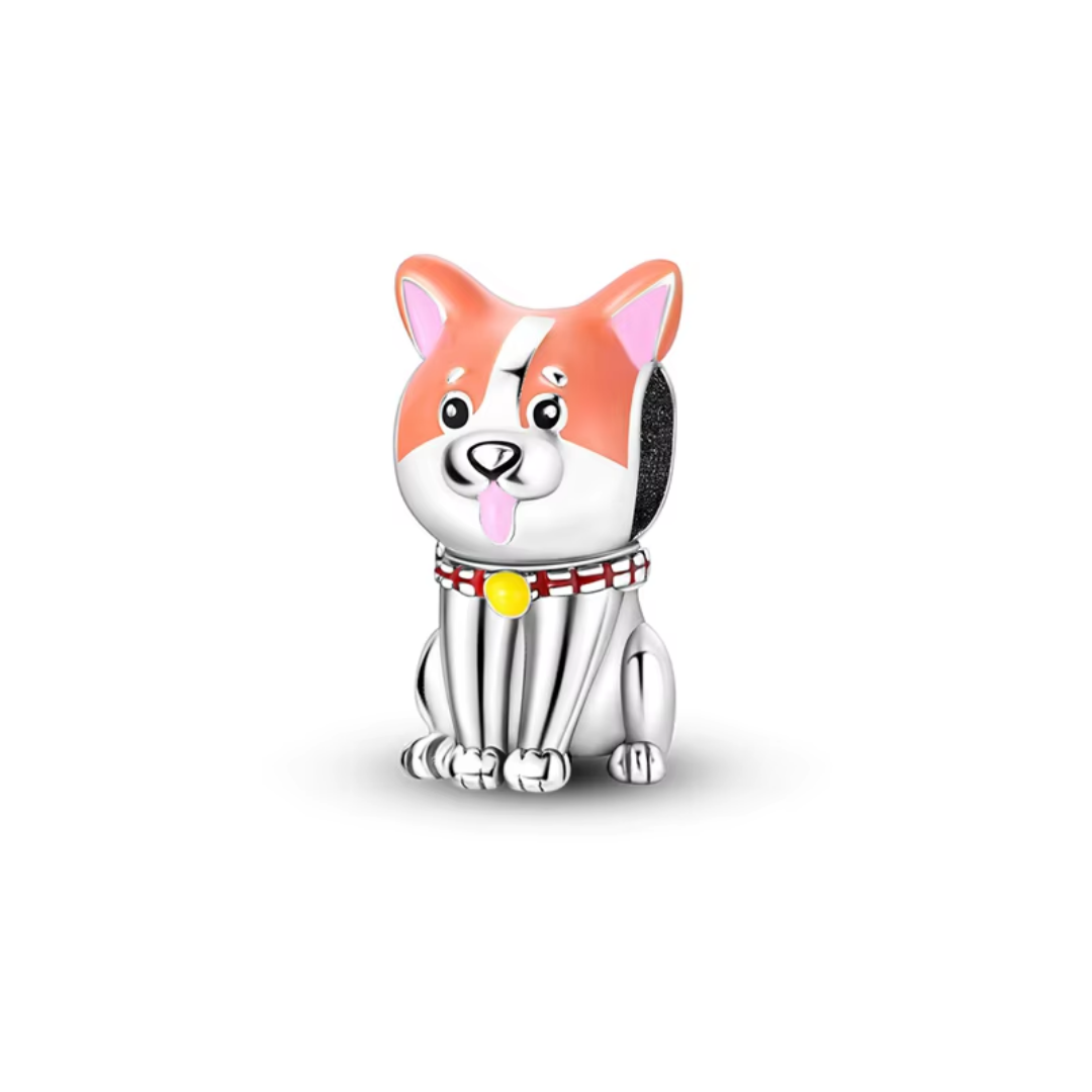 Shiba Love