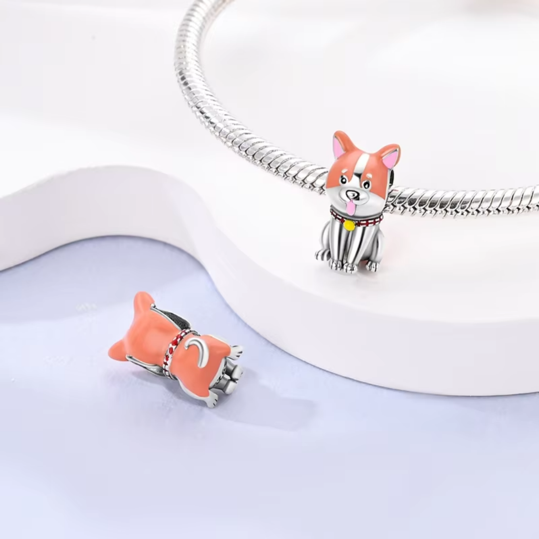 Shiba Love