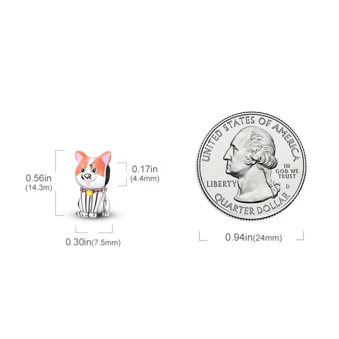 Shiba Love