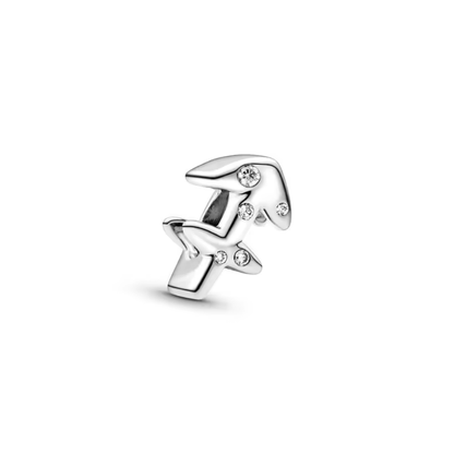 Encanto Zodiacal