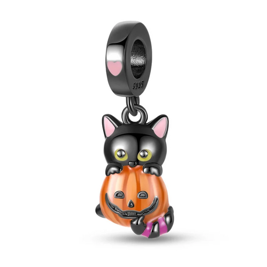 Gato Misterioso